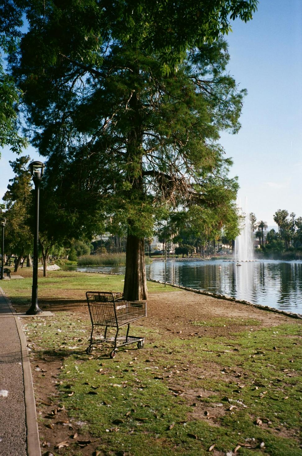 Mount Pleasant Community Plaza